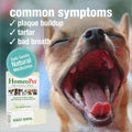 HomeoPet Doggy Dental, Safe, Gentle, and Natural Tooth and Dental Care for Dogs, Water-Additive Supplement, 15 Milliliters
