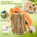 Abizoo Natural Bunny Chew Toys,6 Pcs Organic Papaya Wood Sticks Chew Toys for Rabbit,Hamster,Guinea Pig,Chinchilla,Gerbi