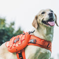 OneTigris Dog Backpack for Medium & Large Dogs, Mammoth Nylon Dog Pack Tactical Backpack Harness with Side Pockets for H