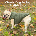 JoyDaog Fleece Lined Dog Jacket for Small Dogs,Winter Dog Coat,Green XS