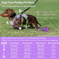 Huntboo Escape Proof Dog Harness, Dachshund Harness, Reflective Dog Harness with Handle, Durable,Adjustable Vest for Sma