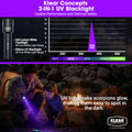 UV Flashlight, 2-in-1 Blacklight & White Light Mode, 395nm UV, 240 Lumen