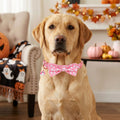 ADOGGYGO Pink Halloween Dog Collar Girl, Ghost Bow Dog Bow Tie Collar L