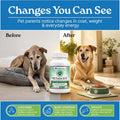 Wonder Laboratories Vitamin B12 - Methylcobalamin Dog Supplement, 180 Caps