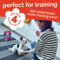 Fruitables Skinny Mini Dog Treats, Healthy Sweet Potato Treat for Dogs, Low Calorie & Delicious, Puppy Training, No Wheat, Corn or Soy, Made in the USA, Bacon and Apple Flavor, 12oz