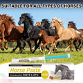 Equine Paste 1.87% – 12 Pack (6.08g) Apple Flavored Oral for Horses