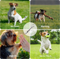 uxcell 1PC Dog Whistle to Stop Barking, Adjustable Sound Pitch Dog Whistle with Keychain, Professional Recall Pet Puppy 