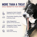 Devil Dog Pet Co Beef Collagen Sticks for Dogs Rawhide Free 6 Inch 10 Pack