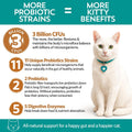 Meowbiotics Good Guts for Cats Probiotic Powder, 11 Probiotic Strains, 2 Prebiotics, 5 Digestive Enzymes for Digestive Support, Tuna Flavor, Probiotics for Cats, Indoor & Outdoor (30 Days)