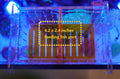 Acrylic Acclimation Box for Saltwater Fish and Reef Coral Quarantine Isolation Box for Aquarium Fish Hydroponic Plant Ex