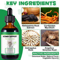 Kidney Support for Cats, Cat Kidney Treatment Support Cat Urinate Regularly, Strengthen Kidney Function,Increase Immunity, Herbal Supplement Supports Healthy Kidney Function- 60ml/2fl.oz