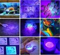 DARKBEAM UV 395nm Flashlight USB Rechargeable, Wood's lamp Black Light, Handheld Ultraviolet LED Portable with Clip, Resin Curing/Spot Scorpions/Fluorescer/Detector for Pet Dog Urine
