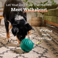 WOOF Walkabout Dog Puzzle Slow Feeder Toy for Dogs Under 40 lbs