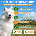 Flea and Tick Prevention for Dogs Chewables with Multivitamins, 500ct