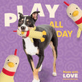 Yomp Chicken Dog Toy – Durable Stuffed, No Squeaker Dog Toys with Natural Canvas and Crinkle Paper – Interactive Stuffed