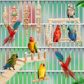 Sonwyoung 10 Pcs Parrot Swing Toys and Bird Perches Platform with Climbing Ladder Chewing Standing Hanging Parakeet Toys Bird Cage Accessories for Budgerigar Conure Cockatiel Finches Lovebirds