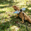 Bearded Dragon Harness and Leash Set, Wings & Adjustable Sizes