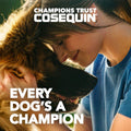 Nutramax Laboratories Cosequin DS Plus MSM Professional Line for Dogs, 60 Soft Chews