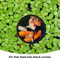 PAGOW 10pcs Fish Feeding Rings Set, 5 Sizes Floating Aquarium Plant Corral