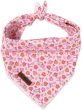 LIONET PAWS Fall Dog Bandana for Small Medium Large Dogs-Pink Pumpkin S