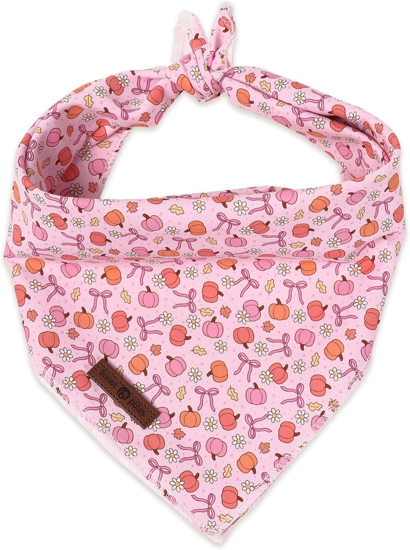 LIONET PAWS Fall Dog Bandana for Small Medium Large Dogs-Pink Pumpkin S