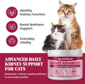 Cat Kidney Support Powder – Renal Health & Kidney Function Support for Cats – Probiotics, Astragalus & Cordyceps – Suppo