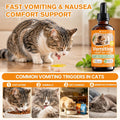 Cat Vomit Remedy, Targeted Treatment for Stomach Upset, Vomiting & Nausea