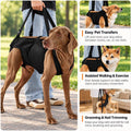 Dog Sling for Large Senior Dogs Hind Lifting Harness with Shoulder Padding Emergency Dog Carrying Harness,Adjustable Rea