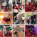 KOOLTAIL Plaid Dog Hoodie Pet Clothes Sweater with Hat and Pocket for Small Medium Large Size Dogs, Soft Winter Warm Dog