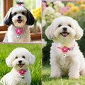 Pink XXS Dog Collar with Bell Set, Soft Flower Dogs Leash Cute Floral Cat Collars Adjustable Buckle for XS Tiny Female Girl Pets Kitten Teacup Yorkie X-Small