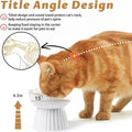 Wellbro Ceramic Raised Cat Bowl，Tilted Raised Cat Bowl Anti Vomit Cat Bowls for Indoor Cats Whisker Friendly Pet Feeder for Cats Puppies, Microwave and Dishwasher Safe