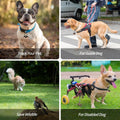 Bells for Dog Collars with Easy Clip Clasps, Suitable for Medium to Large Dogs, Extra Loud Pet Tracker, Durable Collar C