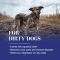 Chris Christensen Clean Start Clarifying Dog Shampoo - Pro-Vitamin Formula that Won’t Strip the Coat! Removes Product Bu