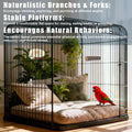 Treewoll 6 PCS Bird Perch Set, Natural Birch Wood Straight & Forked Perches with Platforms for Parakeets, Cockatiels, Conures, Lovebirds - Cage Accessories for Climbing & Exercise