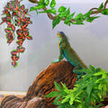 KATUMO Reptile Plants, 3 PCS Amphibian Hanging Plants with Suction Cup for Snake, Bearded Dragons, Lizards, Geckos, Toad