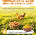 Golden Yolk Daily Egg Booster for Chickens - 1 LB Whole-Food Chicken Vitamins and Supplements - 13 Herbs with Marigold L
