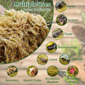 Riare 6OZ Natural Sphagnum Moss for Reptiles- Terrarium Reptiles Moss