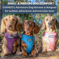 DJANGO Adventure Dog Harness - Padded & Adjustable