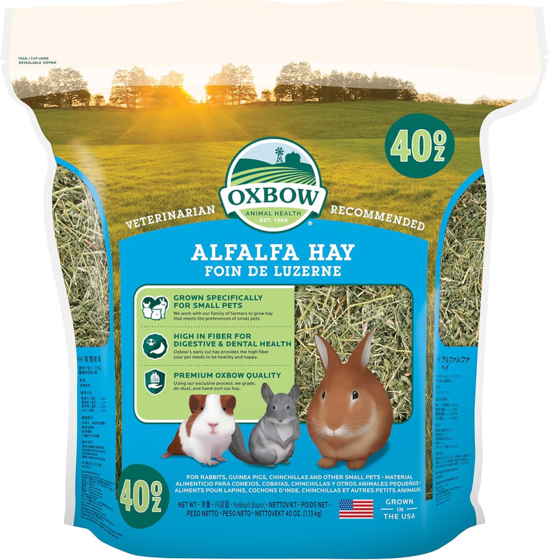 Oxbow Alfalfa Hay, Rabbit & Guinea Pig Hay, Hand-Sorted, De-Dusted, 40 oz