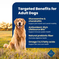 Blue Buffalo Life Protection Formula Salmon Adult Dry Dog Food, 5 lb
