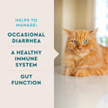 VetIQ Cat Probiotic Powder, Treats Diarrhea and Food Sensitivity, Chicken Flavored Single-Serve Packets for Indoor/Outdoor Use, 30 Count