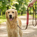 ALL ACCESS CANINE Service, Support & Therapy Animal Dog Leash Sleeve Wrap | Red Durable Nylon Fabric | Adjustable Hook & Loop | Includes 3 Information Cards