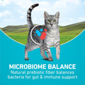 Purina ONE Natural Dry Cat Food, Tender Selects Blend With Real Chicken - 7 lb. Bag