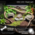 Upgraded T5 UVB Reptile Light, 10.0 UVB 8W German Made Fluorescent Lamp and Fixture Kit, for Desert-Dwelling Reptiles, B