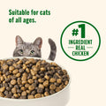 Nutrish Premium Natural Dry Cat Food, Real Chicken & Brown Rice Recipe, 14 Pounds (Packaging May Vary), (Rachael Ray Nutrish)