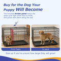 FDW | 48" Foldable Metal Dog Crate | Dark Black | Cage for XL Dogs