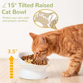 Elevated Cat Bowl, 5 Oz Raised Cat Food and Water Bowl Set for Cats, Ceramic Raised and Tilted Water Bowl, 15°Tilted Sta