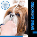 Laazar Straight Dog Grooming Scissors - Comfortable Around The Eyes Cat & Dog Scissors | Blunt Dog Trimming Scissors| Pr
