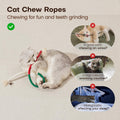 Potaroma Cat Toys Chew Ropes 3Pcs with Refillable Natural Catnip, Safe Teeth Cleaning Toy for Indoor Kittens, Interactive Cat Nip Kitty Toys for All Breeds 19.5 Inches