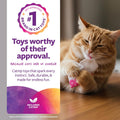 SmartyKat (2 Count Tea Teazers Catnip Cat Toys - Pink/Orange, 2 Count